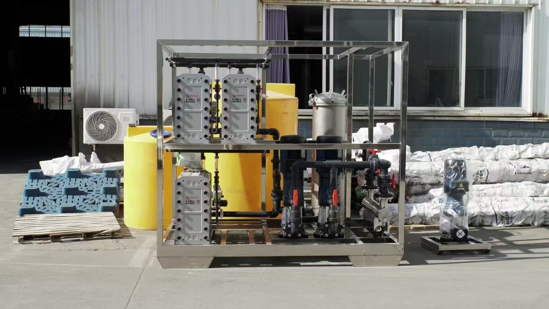 15 T per hour EDI  ultra pure water system industrial use with 2 stage RO system