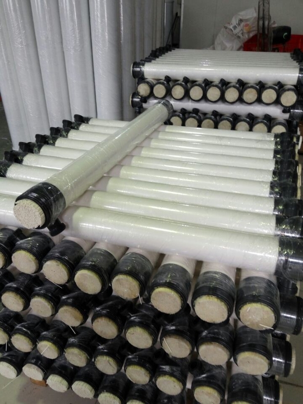 3000LPH Ultra Filter Membrane RO System Accessories Fresh Water